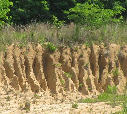 loess erosion