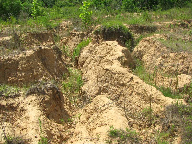 loess erosion