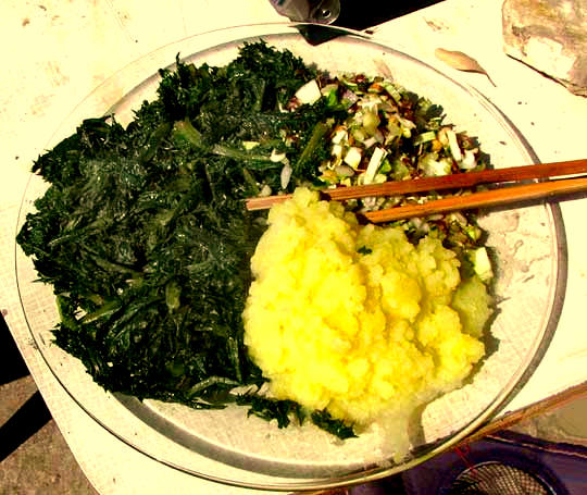 meal featuring Prickly Sow Thistle