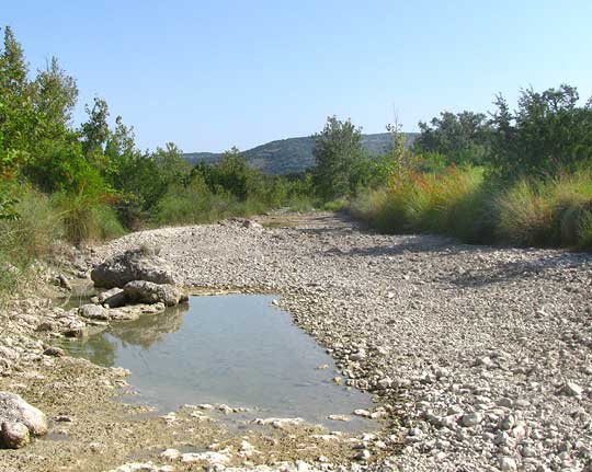 Little Dry Frio at low water