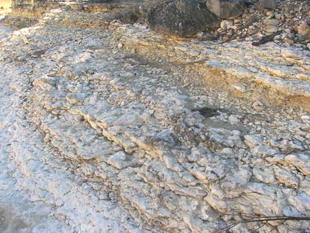 Cretaceous mudstone along the Dry Frio River, southwesern Texas, USA