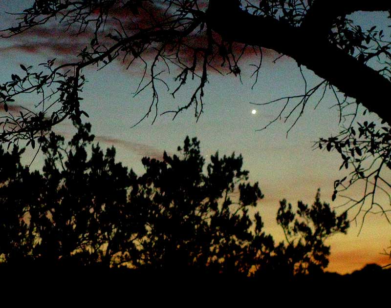 Venus as the Morning Star on January 20, 2014, southwestern Texas, USA