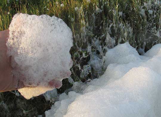 sea foam, handful