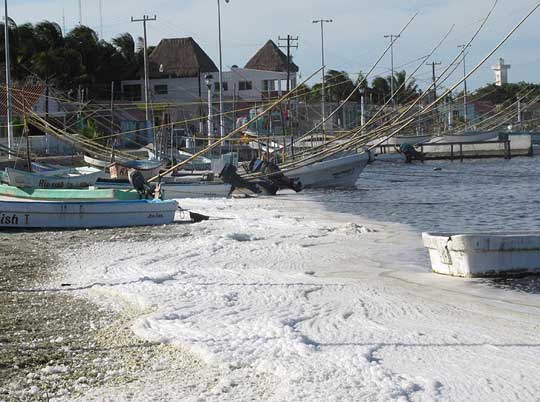 sea foam around boats