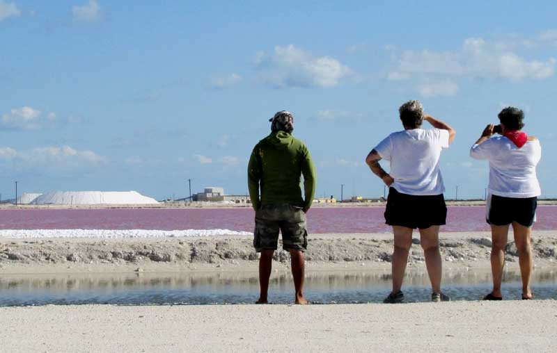 DUNALIELLA SALINA making water pink at the salt ponds at Las Coloradas, Yucatan, Mexico