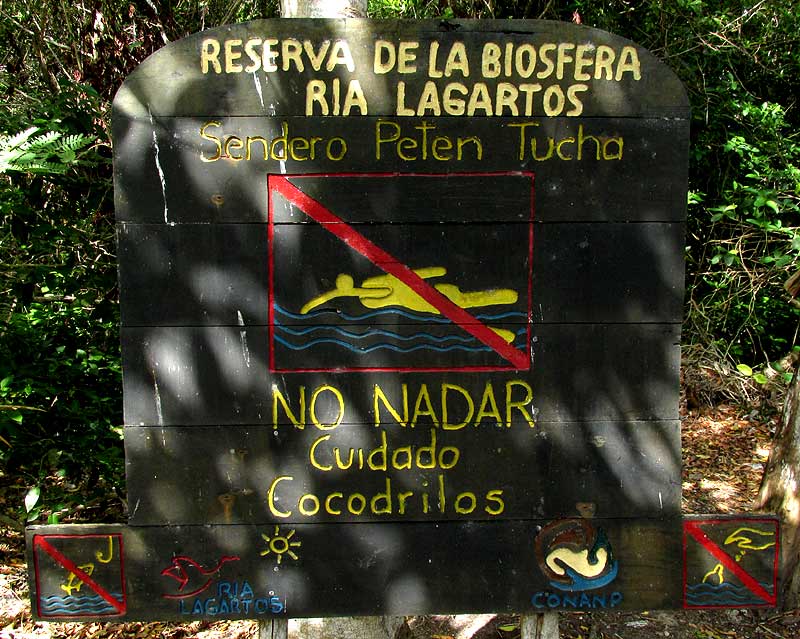  BIOSPHERE SIGN: no swimming because of crocodiles