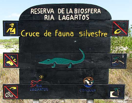  BIOSPHERE SIGN: crocodile crossing