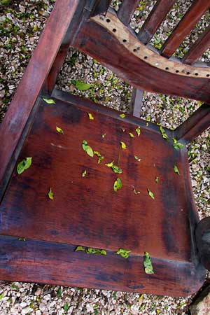 leaves on rocking chair