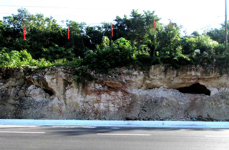 Roadcut near Chichén Itzá