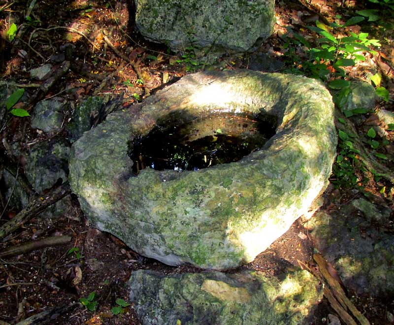 ancient Maya stone washbasin