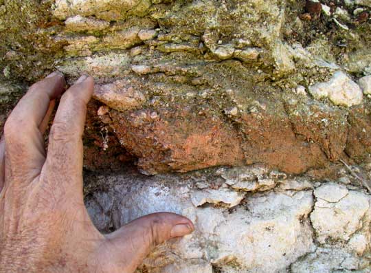 roadcut profile at Chichén Itza, central Yucatán, reddish stratum