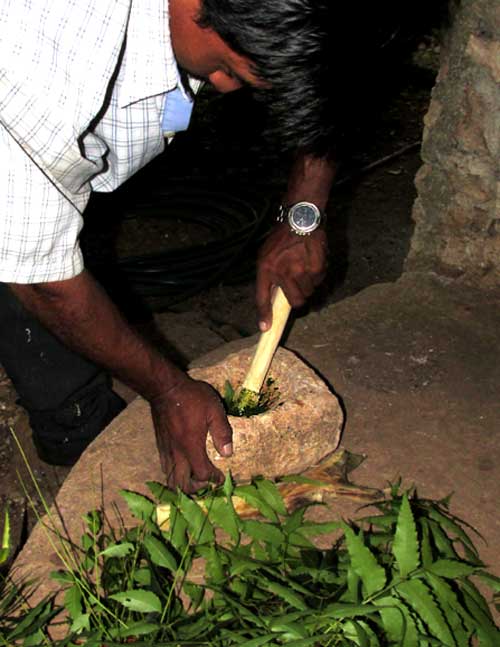 making Neem leaf paste