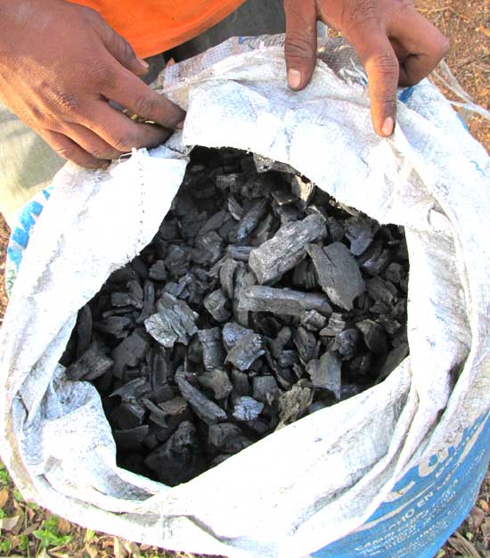 charcoal made in stove