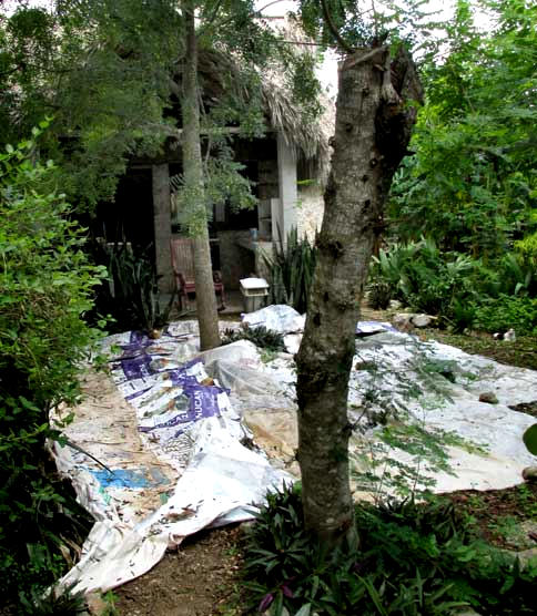 plastic sheet for Neem fruit collection