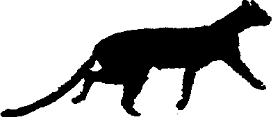 Jaguarundi, HERPAILURUS YAGOUAROUNDI, silhouette
