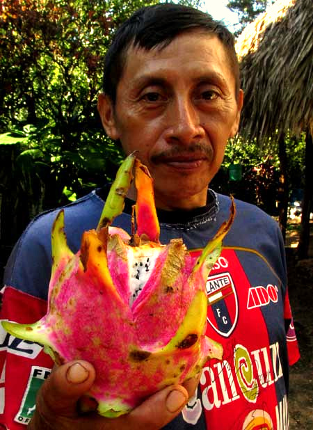 Dragon Fruit