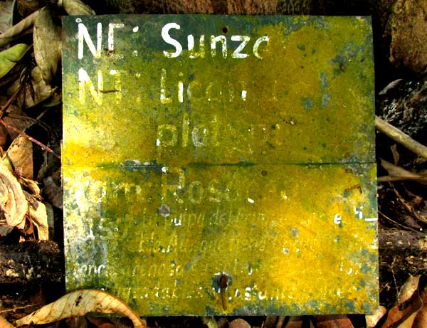 identification sign with algae
