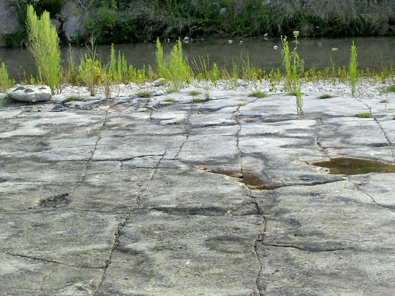 joints in Glen Rose Formation mud rock