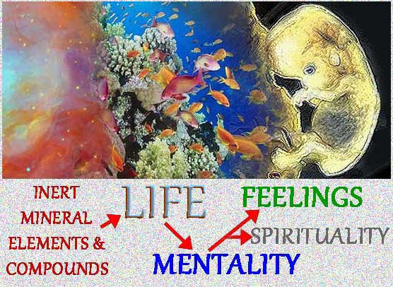 mentality plus feelings = spirituality