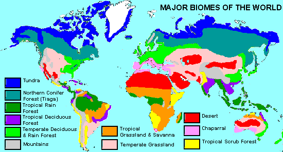 Map of the world's biomes. This map has been created by Jim Conrad and is