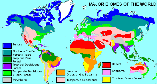 Map of the world's biomes. This map has been created by Jim Conrad and is based on a black-and-white map in 'Fundamentals of Ecology' by Eugene P. Odum, published by W.B.Saunders Company, Philadelphia & London, 1959