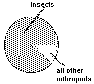 pie chart