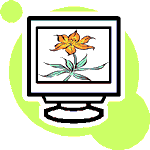 Online News Feeds