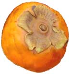 persimmon fruit