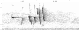 Sonogram of Pale-footed Bush Warbler call; courtesy of 'Subsankar' via Wikimedia Commons