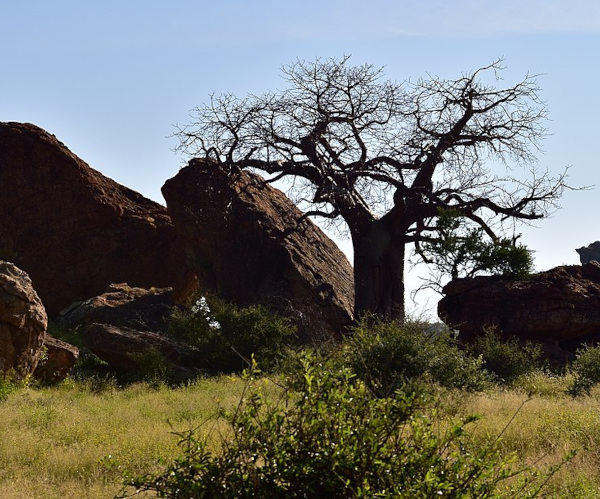 South African landscape; image courtesy of South African Tourism and Wikimedia Commons