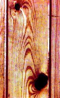 wood grain