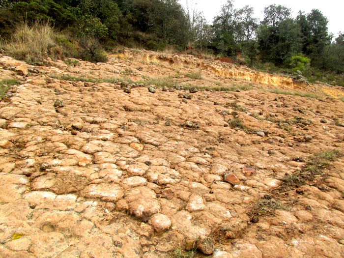 Outcropping bed of andesitic ignimbrite with polygonal blocks