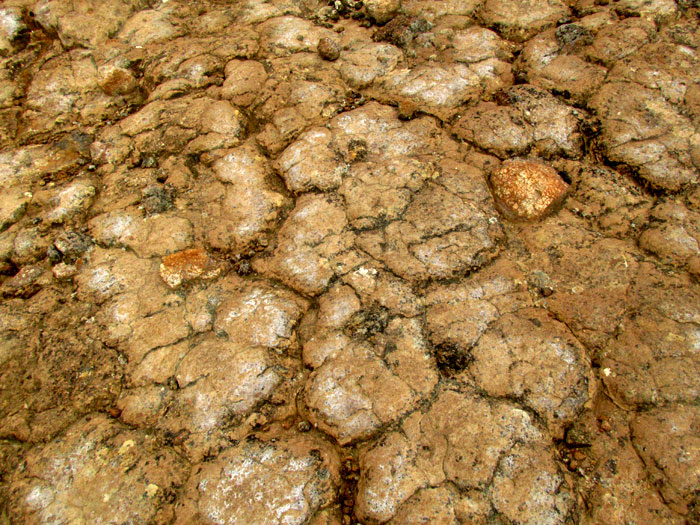 Outcropping bed of andesitic ignimbrite, polygonal blocks