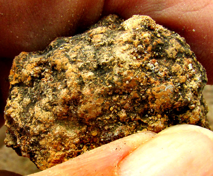 Outcropping bed of andesitic ignimbrite, rounded rocks or cobbles presumably formed in place atop polygonal columns