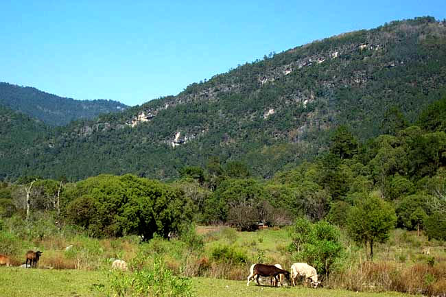 VIEW OF EASTERN SIERRA MADRES, Querétaro