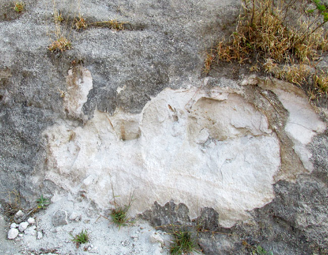 kaolin in roadcut below La Higuera, Querétaro, México