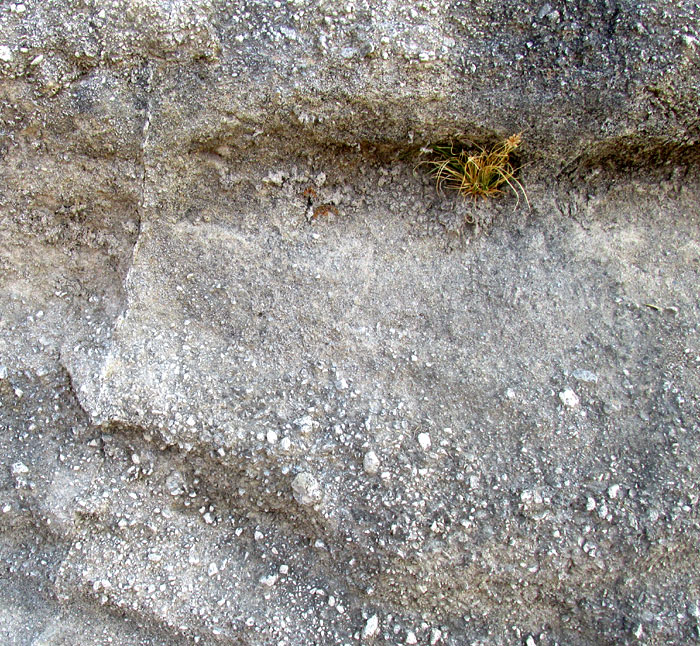 roadcut through volcanic tuff below La Higuera, Querétaro, México