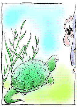 Snapping Turtle