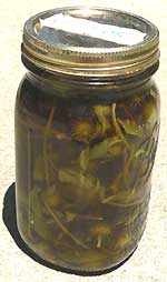 Gumweed, GRINDELIA HIRSUTULA in a jar used as medicine