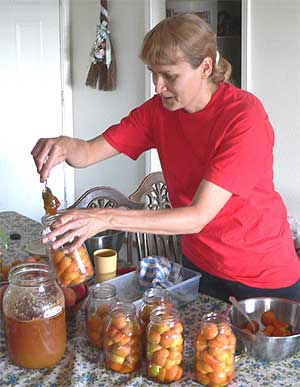 Diana Adams of California canning apricots with the cold-pack method and sweetening with honey