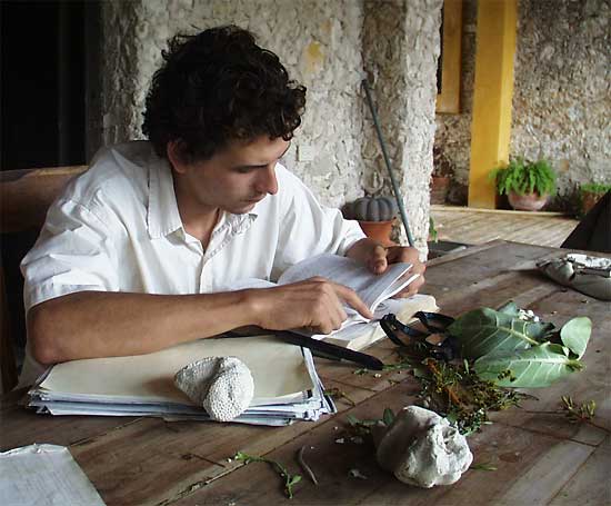 Vlad studying flower anatomy