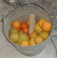 oranges and other things in a bucket