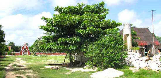 Sabacché, Yucatán, México