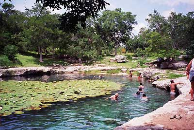 At Dzibilchaltun, Xlacah Cenote