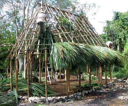 THATCH PALM thatching