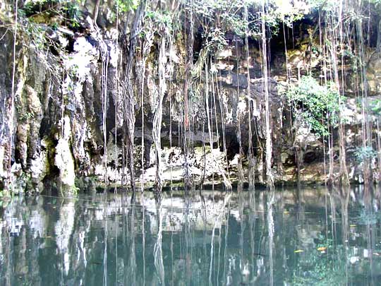 CAVE SWALLOW habitat