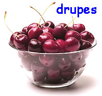 bowl of drupes
