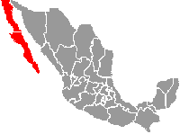 Baja California