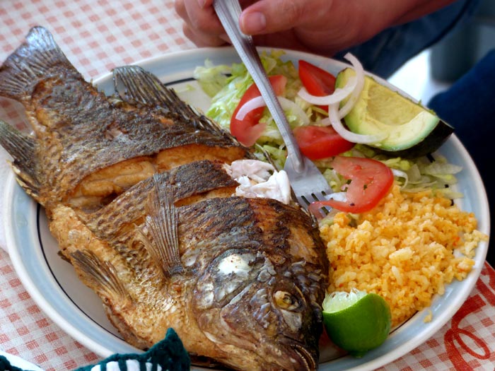 Mojarra, or crappie, served near near Tecozautla, Hidalgo; image courtesy of Richard Newman