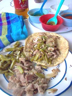 Taco with bits of beef and nopalitos,or sliced nopal cactus